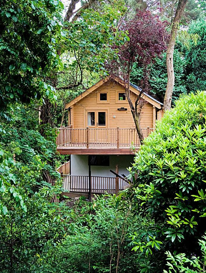 Alum Chine Log Cabin Villa Bournemouth Exterior photo